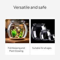 Transparent PET Desktop Fish Habitat, Sturdy Aquarium Tank