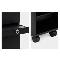 Salon Cabinet with Wheels Professional Salon Cabinet Enclosed Furniture for Hairstylists, Beauticians