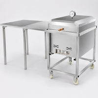 Commercial Pizza Oven for Catering Businesses, Portable Gas Outdoor Pizza Oven with Grill, Black Metal Heavy Duty Restaurant Pizzeria