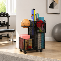 sports ball storage rack