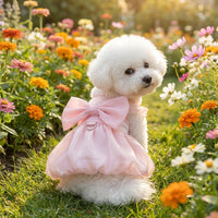 Princess Dress for Cats and Dog Dress, Butterfly Sleeve Pet Dress in Polyester Fiber, Princess Dress for Dogs and Cat Dress for Small Dog Summer
