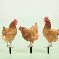 3 Pieces Chicken Garden Stake Weatherproof Acrylic Chicken Stake Decorations Waterproof Farmhouse for Gardeners, Lawn