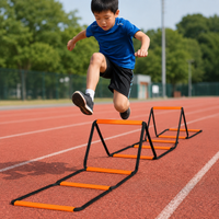 agility ladder