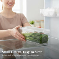 Herb container Keeps Food crisp Draining Herb preserver Sealed Lid for Home Cooks