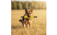 Padded Dog Tug Toy with Handles Textured Bite Pillow with Handles Safe Training Tug Hardwearing for Young Dogs