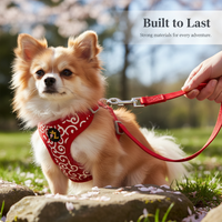 Japanese Style Cherry Blossom Dog Harness and Leash Set for Small to Medium Breeds