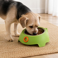 Stainless Steel Tilted Pet Bowl for Cats and Small Dogs, Elevated Anti-Vomit Anti-Choke Food Feeder, Non-Slip Anti-Tip Design