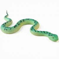 Animal Figurine Detailed Animal Model Display Ornament Realistic Figurines Sculpted for Students, Home Decoration, Classroom