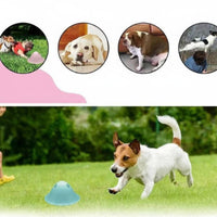Treat-Dispensing Dog Toy Tough Treat-Hiding Toy Easy to Use for puppy