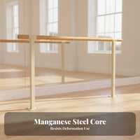 Double Dance Training Bar Stable Base Fixed Dance Practice Bar Heavy Duty Floor Mounted Dance Barre for Dancers, Beginners, School, Gym
