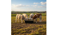 Long-Lasting Plastic Cattle Feed Trough Break-Resistant Heavy Duty Livestock Trough Easy to Clean Plastic Pig Feeder Single-Piece Molding for Farmers, Ranchers, Barn, Stable, Pasture