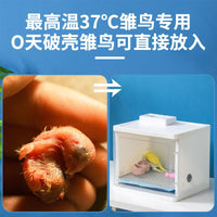 手养鹦鹉专用保温箱鹦鹉幼鸟过冬专用恒温箱保暖箱雏鸟育雏箱冬天