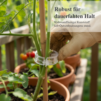 Plant Vine Clips for Climbing Plants, Fruit Trees, and Vegetables - Support and Training Clips