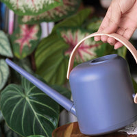 Watering Can Large Capacity Long Spout Watering Can Easy to Pour Plant Tool for, Indoor Plants