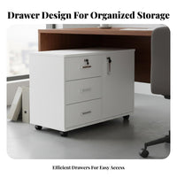 Under Desk Storage Cabinet Large Capacity Mobile File Cabinet Space Saving Mobile Office Pedestal for Students, Study Room, Workplace