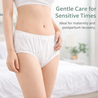 Incontinence Pants Women Maternity Underwear for Postpartum Recovery, Individually Wrapped Single Use Soft Blend Material