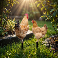 2 Pieces Chicken Silhouettes with Ground Stakes Acrylic Chicken Garden Stake Animal-Themed Outdoor Decorations Black