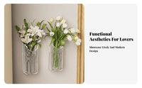 Hydroponic Friendly Clear Ribbed Plant Pocket Transparent Design Wall Planter Space Saving Hanging Vase Easy Installation for Apartment Dwellers, DIYers, Living Room, Hallway, Bedroom, Balcony