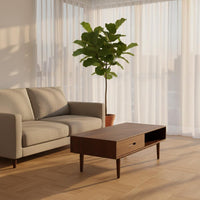 Minimalist Design Solid Wood Coffee Table Oak Tea Table for Small Apartment Dwellers