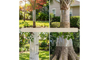 Cut-to-Fit Tree Trunk Protector with Tape Clear Tree Trunk Protector Transparent Barrier Outdoor for Gardeners, Homeowners, Garden, Yard