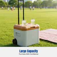 Insulated Cooler Box, Wheeled, Portable Ice Chest, Outdoor, Camping, Fishing