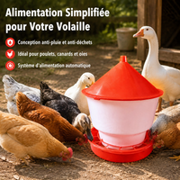 Automatic Chicken Feeder, Pest-Proof Poultry Seed Dispenser, Red and White Waterproof Lid
