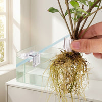6 Pieces Aquarium Planter Clear Aquarium Plant Clip Hydroponic Support Clip with Screws Transparent for Aquarists, Aquariums
