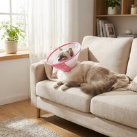 Pet Cone for Dogs and Cats, Transparent Rigid Dog and Cat Cone, Pet Recovery Tool to Prevent Licking After Surgery