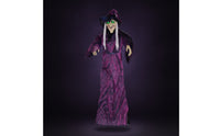 Sound Activated Hanging Witch Ghost indoor/outdoor Witch Ghost with Light-up Eyes Easy to Install Animated Halloween Prop Battery Powered for Haunted Houses, Entryways