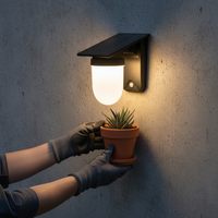 Solar-Powered Outdoor Wall Light for Garden and Villa Decoration