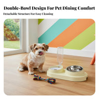 16° Tilted Design Double Bowl Pet Station Easy to Clean Elevated Cat Food and Water Bowl Leak-Proof for Cats, Dogs, Home, Kitchen, Vacation