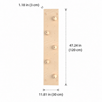 climbing wall panel