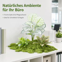 artificial plant arrangement
