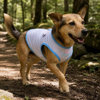 Pet Cooling Vest for Small Dogs - Summer Thin Breathable Sun Protection Shirt for Teddy, Schnauzer