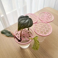 Plant Cutting Cup Lid Tray with Cover for Indoor Plant Propagation