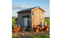 Weatherproof Automatic Chicken Door Metal Body Timed Chicken Coop Door for Backyard