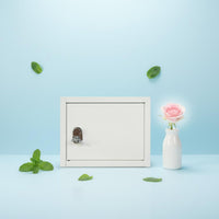 Surface-Mounted Milk Box Iron Locked Milk Box Secure Locking Mailbox for Community Gate