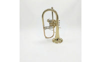 Flugelhorn with Case Rich for Beginners, Rehearsals