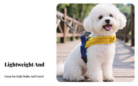 Breathable Vest Design Dog Harness Soft Padded Dog Chest Harness and Leash Set Lightweight for Dogs, Training, Outdoor, Running