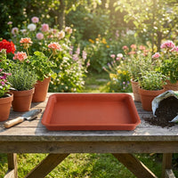 Plant Trays and Rectangular Saucers, Deepened Drip Tray for Indoor Pot, Nestable Water Tray for Family Gardening, Assorted Colors, Single Pack