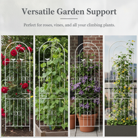 Wrought Iron Garden Trellis for Climbing Plants, Roses, Clematis, and Vines