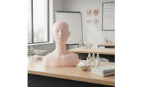 Mannequin Head with Shoulders Realistic Masking Practice Head and Shoulders Display Bust for Students