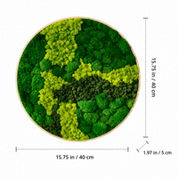 preserved moss wall art