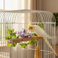 Healthy Chewing Exercise Parrot Foraging Wheel Easy Installation Bird Enclosure Rotating Wheel for Parrots, Small Birds
