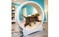 Textured Track Indoor Feline Exercise Wheel White Frame Feline Exercise Wheel Curved Base Pet Equipment Wood-Toned