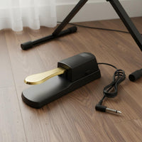Sustain Pedal Polarity Switch Electronic Piano Foot Pedal Construction Synthesizer Footswitch for Pianists, Stage Performance