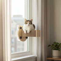 Wall Mounted Cat Perch Non-Permanent Attachment Installation Window Cat Hammock Space Capsule Design for Indoor Cats