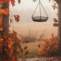 Hanging Bird Feeder and Sturdy Metal Mesh Bird Feeder Weather Resistant Garden Accessory for Gardeners