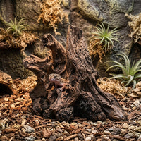 Driftwood Aquarium Cave Decoration, Bark-Textured Resin Ornaments with Hiding Cavity, Freshwater Aquatic Tank Habitat Decor