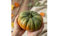 Pumpkin Decorations Orange Foam Pumpkins Indoor Faux Pumpkins for Decorators, Photographers, Table Settings, Photography Props, Autumn Harvest